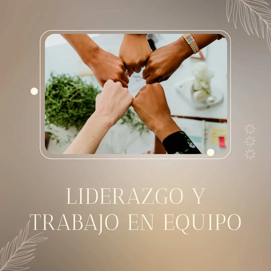 Liderazgo y Trabajo en Equipo